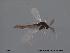  ( - SOE186)  @12 [ ] CreativeCommons - Attribution Non-Commercial Share-Alike (2010) Unspecified NTNU Museum of Natural History and Archaeology