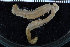  ( - ZMBN_106773)  @11 [ ] CreativeCommons - Attribution Non-Commercial Share-Alike (2015) University of Bergen University of Bergen, Natural History Collections