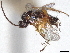  ( - CNC1041956)  @11 [ ] CreativeCommons - Attribution (2022) CBG Photography Group Centre for Biodiversity Genomics