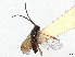  ( - CNC1042000)  @11 [ ] CreativeCommons - Attribution (2022) CBG Photography Group Centre for Biodiversity Genomics