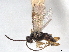  ( - CNC1042032)  @11 [ ] CreativeCommons - Attribution (2022) CBG Photography Group Centre for Biodiversity Genomics