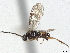  ( - CNC1123615)  @11 [ ] CreativeCommons - Attribution (2022) CBG Photography Group Centre for Biodiversity Genomics