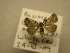  ( - 09-NCCC-335)  @12 [ ] CreativeCommons - Attribution (2010) Unspecified Centre for Biodiversity Genomics