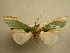  ( - 10-MISC-001)  @13 [ ] Unspecified (default): All Rights Reserved  Unspecified Unspecified