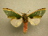  ( - 10-MISC-002)  @14 [ ] Unspecified (default): All Rights Reserved  Unspecified Unspecified