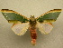  ( - 10-MISC-003)  @14 [ ] Unspecified (default): All Rights Reserved  Unspecified Unspecified
