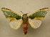  ( - 10-MISC-005)  @14 [ ] Unspecified (default): All Rights Reserved  Unspecified Unspecified