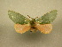  ( - 10-MISC-014)  @13 [ ] Unspecified (default): All Rights Reserved  Unspecified Unspecified
