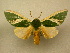  ( - 10-MISC-015)  @14 [ ] Unspecified (default): All Rights Reserved  Unspecified Unspecified
