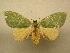  (Rosema drucei - 10-MISC-035)  @14 [ ] Unspecified (default): All Rights Reserved  Unspecified Unspecified
