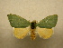  ( - 10-MISC-049)  @14 [ ] Unspecified (default): All Rights Reserved  Unspecified Unspecified