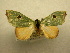  ( - 10-MISC-072)  @13 [ ] Unspecified (default): All Rights Reserved  Unspecified Unspecified