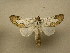  ( - 10-MISC-103)  @14 [ ] Unspecified (default): All Rights Reserved  Unspecified Unspecified