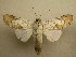  ( - 10-MISC-104)  @14 [ ] Unspecified (default): All Rights Reserved  Unspecified Unspecified