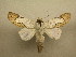  ( - 10-MISC-105)  @14 [ ] Unspecified (default): All Rights Reserved  Unspecified Unspecified