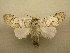  ( - 10-MISC-106)  @14 [ ] Unspecified (default): All Rights Reserved  Unspecified Unspecified