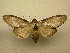  ( - 10-MISC-122)  @14 [ ] Unspecified (default): All Rights Reserved  Unspecified Unspecified