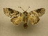  ( - 10-MISC-126)  @13 [ ] Unspecified (default): All Rights Reserved  Unspecified Unspecified