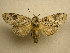 ( - 10-MISC-127)  @13 [ ] Unspecified (default): All Rights Reserved  Unspecified Unspecified