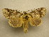  ( - 10-MISC-128)  @14 [ ] Unspecified (default): All Rights Reserved  Unspecified Unspecified