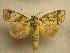  ( - 10-MISC-130)  @14 [ ] Unspecified (default): All Rights Reserved  Unspecified Unspecified