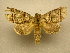  ( - 10-MISC-132)  @14 [ ] Unspecified (default): All Rights Reserved  Unspecified Unspecified