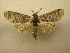  ( - 10-MISC-165)  @14 [ ] Unspecified (default): All Rights Reserved  Unspecified Unspecified