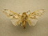 ( - 10-MISC-168)  @14 [ ] Unspecified (default): All Rights Reserved  Unspecified Unspecified