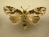  ( - 10-MISC-173)  @12 [ ] Unspecified (default): All Rights Reserved  Unspecified Unspecified