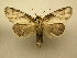  ( - 10-MISC-174)  @13 [ ] Unspecified (default): All Rights Reserved  Unspecified Unspecified