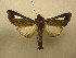  ( - 10-MISC-184)  @14 [ ] Unspecified (default): All Rights Reserved  Unspecified Unspecified