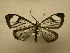  (Monocreaga - 10-MISC-190)  @14 [ ] Unspecified (default): All Rights Reserved  Unspecified Unspecified