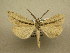  ( - 10-MISC-193)  @13 [ ] Unspecified (default): All Rights Reserved  Unspecified Unspecified