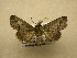  ( - 10-MISC-205)  @14 [ ] Unspecified (default): All Rights Reserved  Unspecified Unspecified