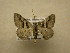  ( - 10-MISC-210)  @12 [ ] Unspecified (default): All Rights Reserved  Unspecified Unspecified