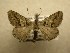  ( - 10-MISC-211)  @13 [ ] Unspecified (default): All Rights Reserved  Unspecified Unspecified