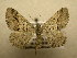  ( - 10-MISC-212)  @13 [ ] Unspecified (default): All Rights Reserved  Unspecified Unspecified