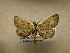  ( - 10-MISC-240)  @14 [ ] Unspecified (default): All Rights Reserved  Unspecified Unspecified