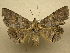  ( - 10-MISC-242)  @14 [ ] Unspecified (default): All Rights Reserved  Unspecified Unspecified
