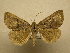  ( - 10-MISC-282)  @13 [ ] Unspecified (default): All Rights Reserved  Unspecified Unspecified