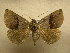  ( - 10-MISC-283)  @13 [ ] Unspecified (default): All Rights Reserved  Unspecified Unspecified