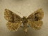  ( - 10-MISC-284)  @14 [ ] Unspecified (default): All Rights Reserved  Unspecified Unspecified