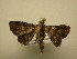  ( - 11-MISC-0083)  @13 [ ] No Rights Reserved (2011) JB Sullivan Research Collection of J. B. Sullivan