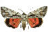  ( - 11-MISC-665)  @15 [ ] No Rights Reserved (2010) James Sullivan Research Collection of J. B. Sullivan