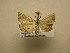  ( - 11-MISC-673)  @12 [ ] No Rights Reserved (2011) JB Sullivan Research Collection of J. B. Sullivan