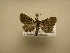  ( - 11-MISC-752)  @14 [ ] No Rights Reserved (2011) JB Sullivan Research Collection of J. B. Sullivan