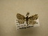  ( - 11-MISC-754)  @12 [ ] No Rights Reserved (2011) JB Sullivan Research Collection of J. B. Sullivan