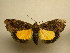 ( - 11-MISC-820)  @12 [ ] No Rights Reserved (2011) JB Sullivan Research Collection of J. B. Sullivan