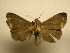  ( - 11-MISC-836)  @13 [ ] No Rights Reserved (2011) JB Sullivan Research Collection of J. B. Sullivan