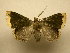  ( - 11-MISC-839)  @13 [ ] No Rights Reserved (2011) JB Sullivan Research Collection of J. B. Sullivan